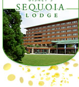 Disney's Sequoia Lodge